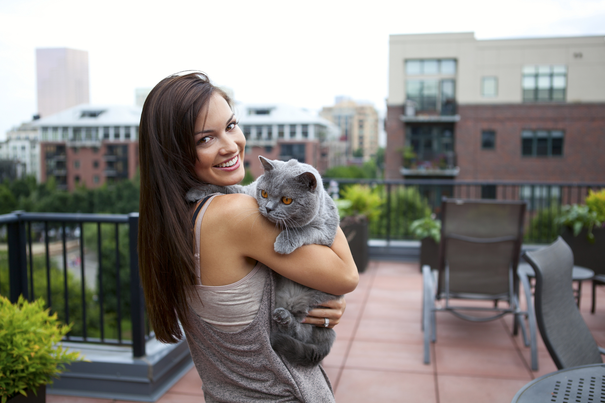 5 Behauptungen über Katzen, die falsch sind