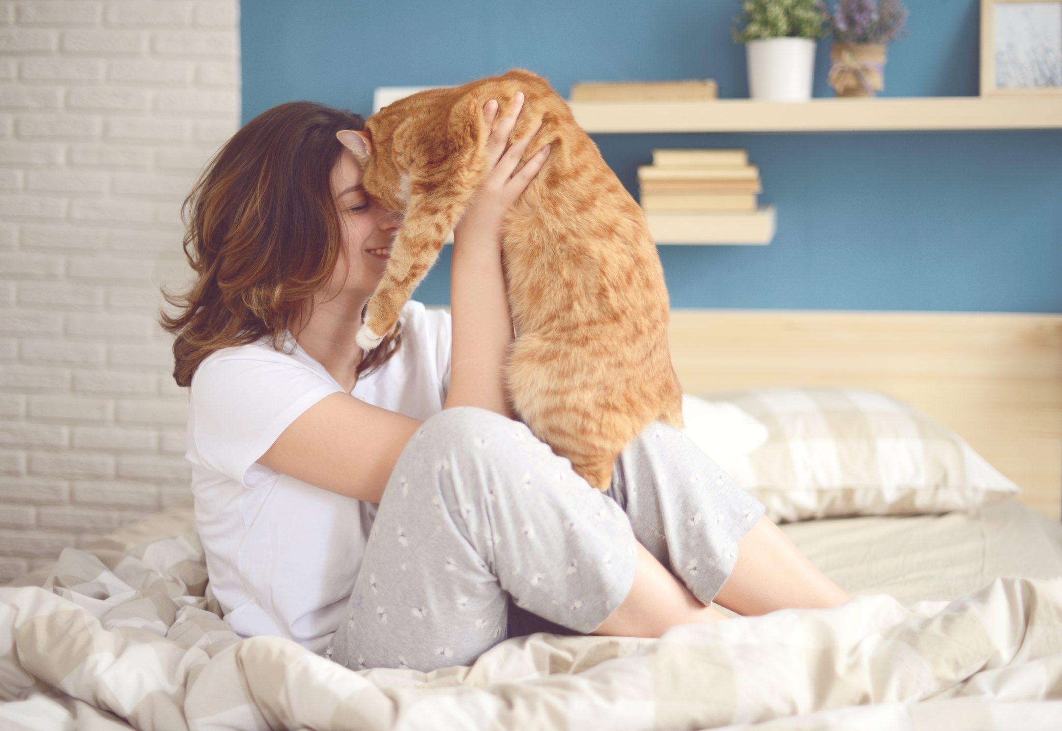 Warum ein Katzenjunges nicht im Bett des Besitzers schlafen sollte
