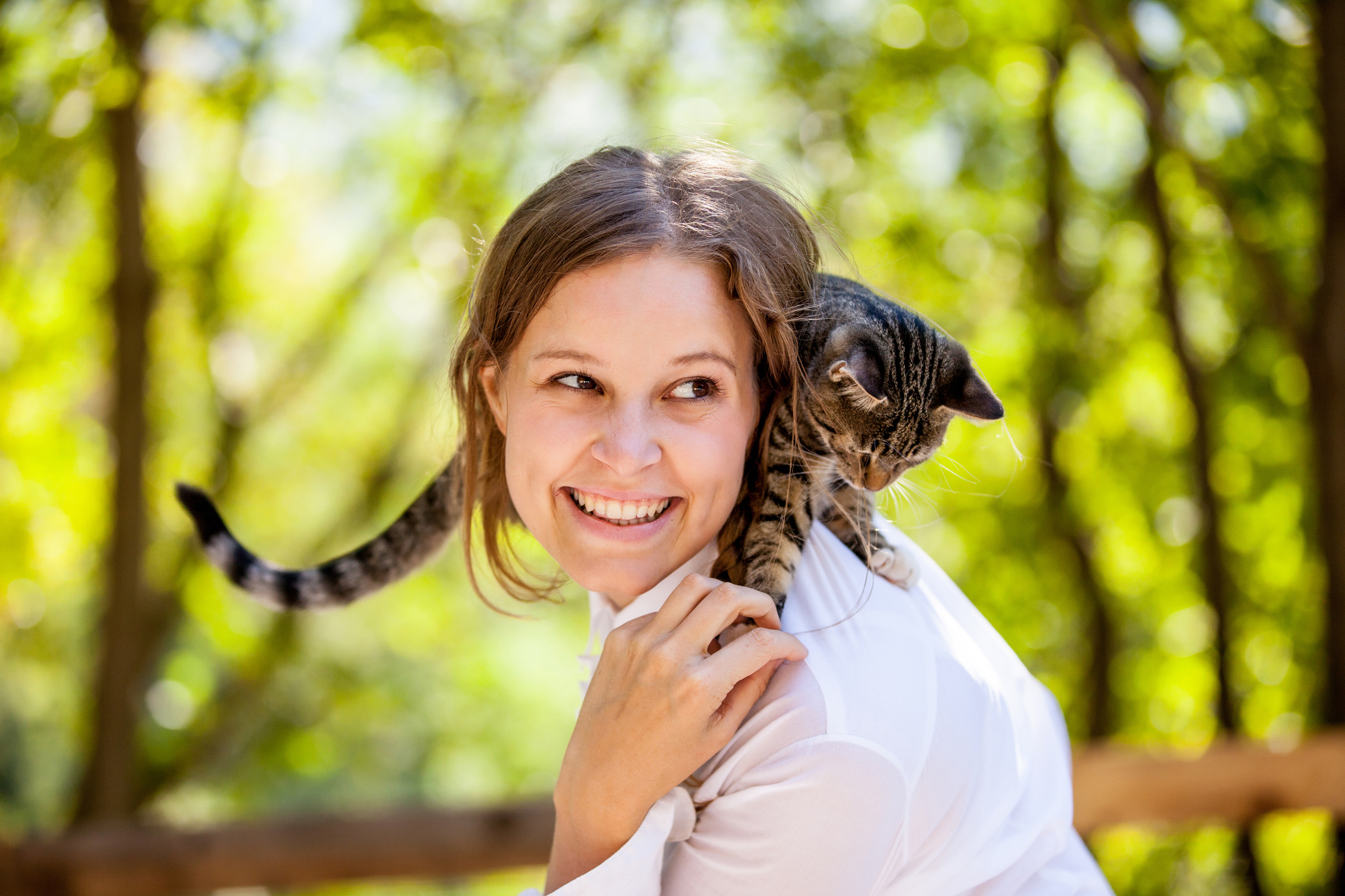 Wie Katzen ihre Zuneigung zeigen